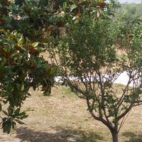 Vacanze al mare di Orosei