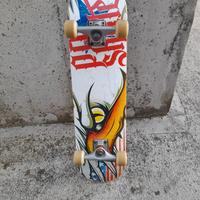 Skatebord  completo protezione 