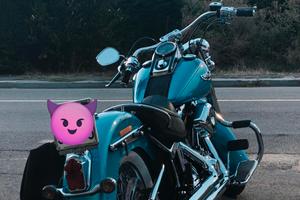 Harley Davidson softail deluxe 1584 
