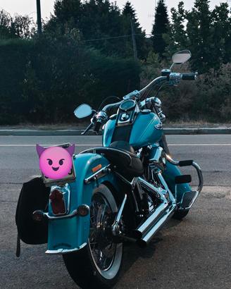 Harley Davidson softail deluxe 1584 