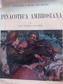Pinacoteca Ambrosiana di Gina Pinchel Fraschini