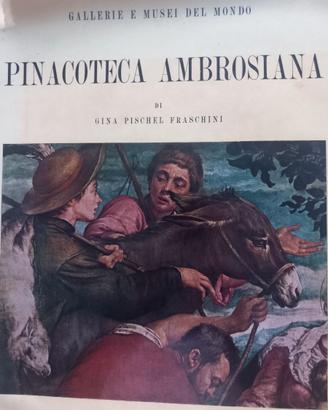 Pinacoteca Ambrosiana di Gina Pinchel Fraschini