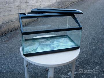 ACQUARIO PER TARTARUGHE