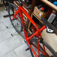 Biciclette de rosa protos