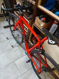 Biciclette de rosa protos