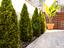 Immagine 26