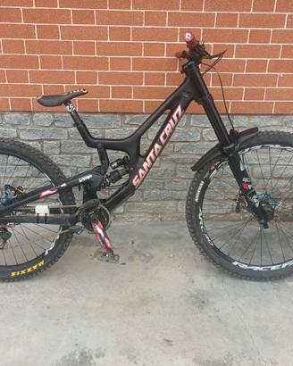 Santa Cruz V10