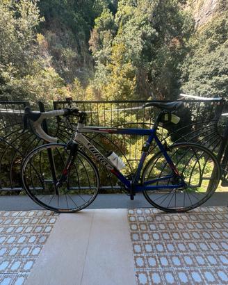Bici strada Triestina Wilier