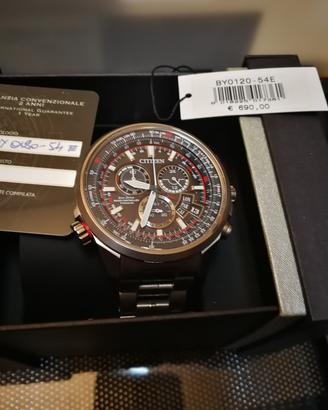 CITIZEN THE PILOT 