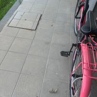 Bici bambina 10 anni
