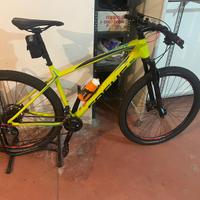 MTB  FOCUS RAVEN 29 carbonio