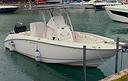 boston-whaler-240-outrage-carrello-stradale