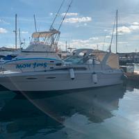 Sea Ray 300 Diesel pronta in acqua