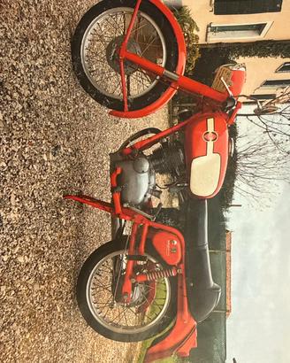 Gilera 124 6 giorni  corsa anno 1964