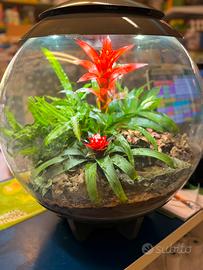 Terrario Smart Automatizzato biOrb AIR