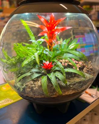 Terrario Smart Automatizzato biOrb AIR