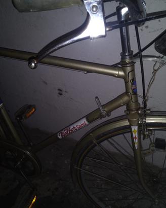 Bicicletta Vintage Antares