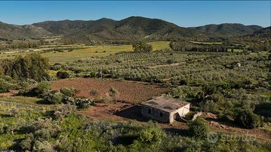 Abitazione allo stato collabente con terreno