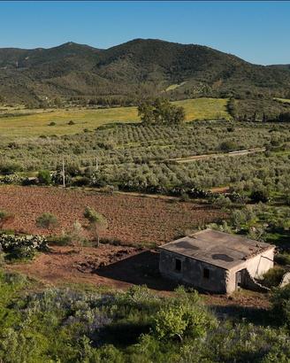 Abitazione allo stato collabente con terreno
