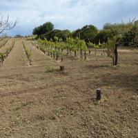 Terreno panoramico a pochi km dal mare
