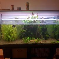 lampada luce plafoniera acquario lunga 120 cm