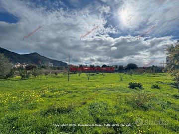 Terreno, Pallavicino - San Filippo Neri, Palermo.