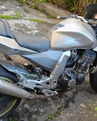 z1000