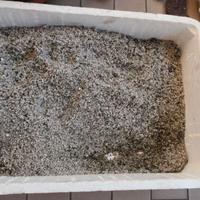 Ghiaia quarzo per fondo acquario