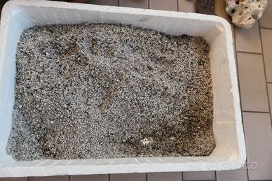 Ghiaia quarzo per fondo acquario