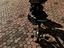 Immagine 2