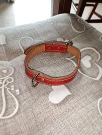 Collare per cani in cuoio
