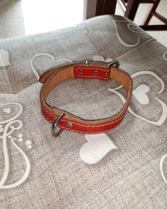 Collare per cani in cuoio