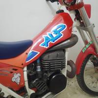 Beta alp 361cc