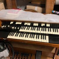 Organo hammond L122