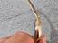 Immagine 5