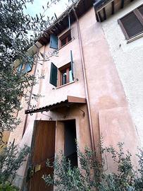 Cielo-Terra in campagna con olivi secolari