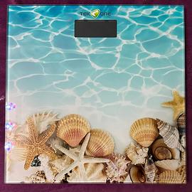 Bilancia Pesapersone