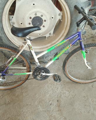 Bici da mountain-bike 