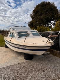 Pilotina Omnia 5,50 Suzuki 40 4t