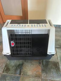 Kennel cani