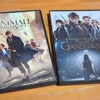 Dvd Animali Fantastici 