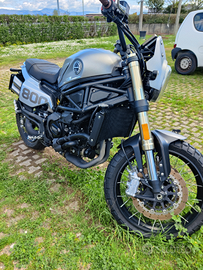 Benelli Leoncino cc800 Trail