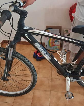 Bici Globus