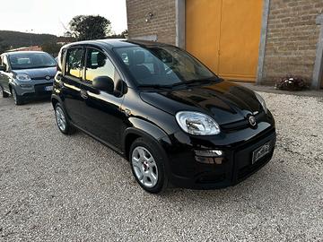 Fiat Panda 1.0 FireFly S&S Hybrid PREZZO REALE