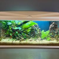 Acquario completo