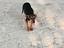 Immagine 3