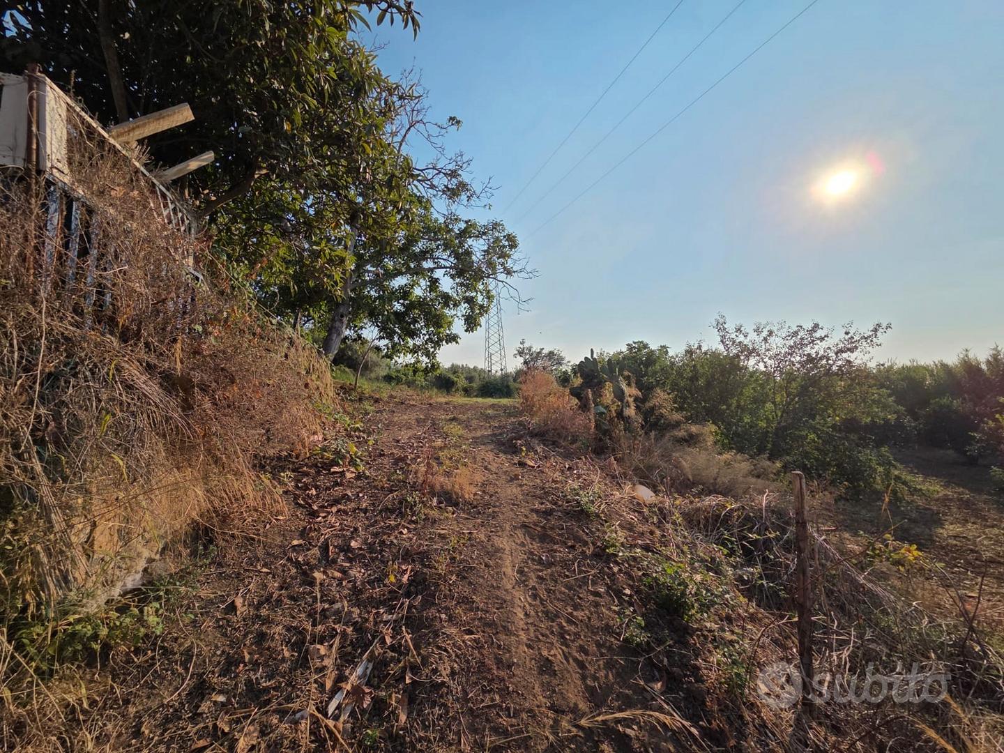 Terreno agricolo 42.000 mq vista mare+rudere-Pizzo - Vista 4