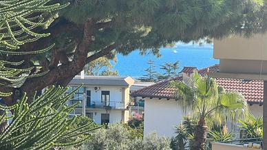 Scogliera arredato con terrazze e garage