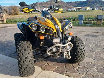 quad can am renegade 800