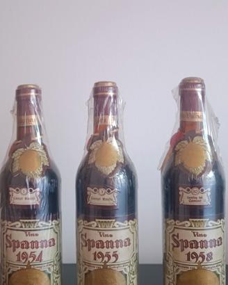 bottiglie di vini pregiati